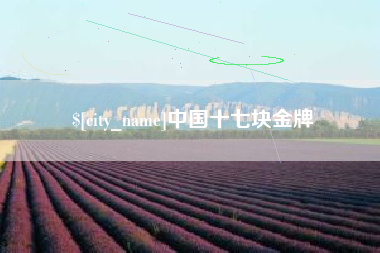 赤峰中国十七块金牌