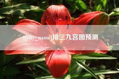 赤峰排三九宫图预测