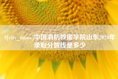 赤峰中国消防救援学院山东2020年录取分数线是多少