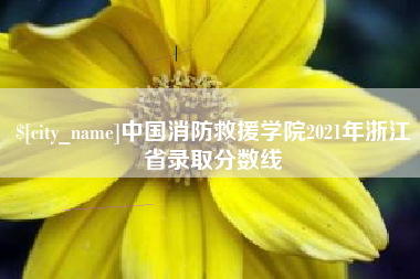 赤峰中国消防救援学院2021年浙江省录取分数线