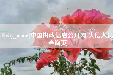 赤峰中国执政信息公开网-失信人员查询页