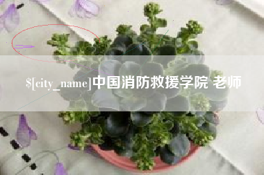 赤峰中国消防救援学院 老师
