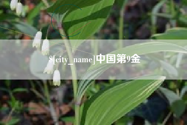 赤峰中国第9金