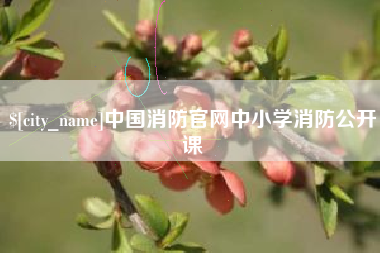 赤峰中国消防官网中小学消防公开课
