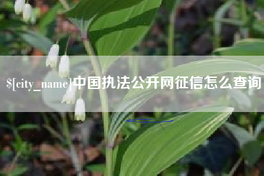 赤峰中国执法公开网征信怎么查询