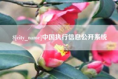 赤峰中国执行信息公开系统