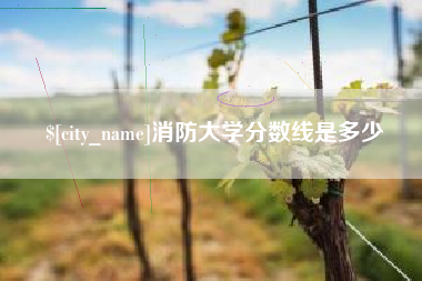 赤峰消防大学分数线是多少