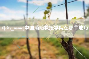 赤峰中国消防救援学院在那个地方