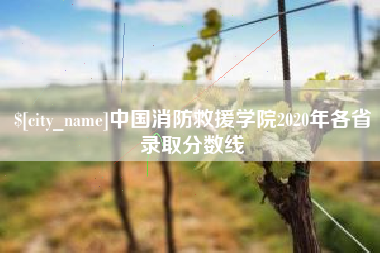 赤峰中国消防救援学院2020年各省录取分数线