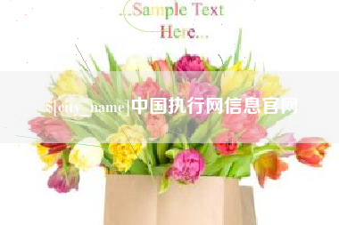 赤峰中国执行网信息官网