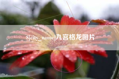 赤峰九宫格龙图片