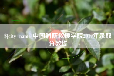 赤峰中国消防救援学院2019年录取分数线