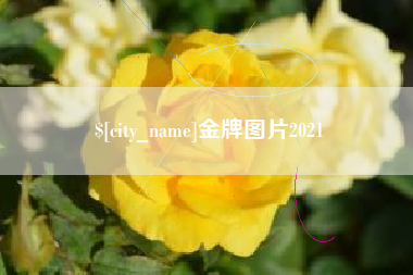 赤峰金牌图片2021