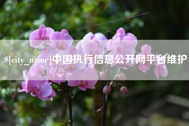 赤峰中国执行信息公开网平台维护
