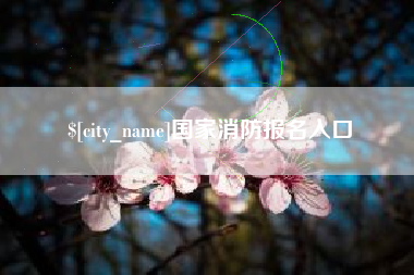 赤峰国家消防报名入口