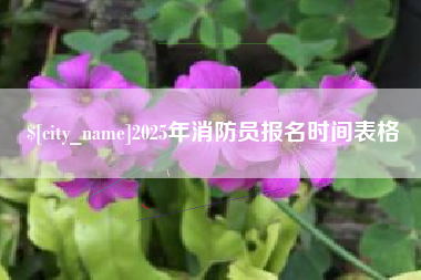 赤峰2025年消防员报名时间表格