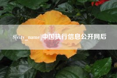 赤峰中国执行信息公开网后