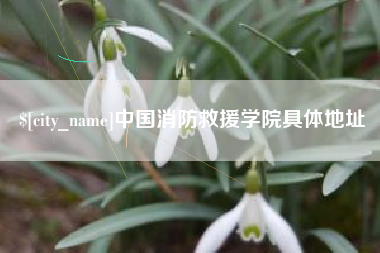 赤峰中国消防救援学院具体地址