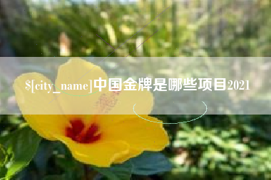 赤峰中国金牌是哪些项目2021