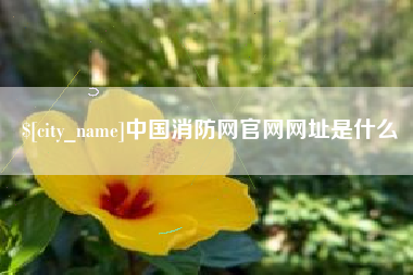 赤峰中国消防网官网网址是什么