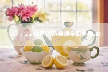 赤峰中国消防救援学院分数2020