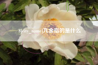 赤峰九金指的是什么
