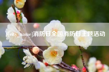 赤峰消防日全国消防日主题活动