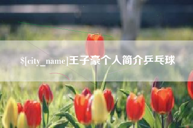 赤峰王子豪个人简介乒乓球