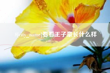 赤峰看看王子豪长什么样