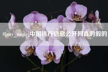 赤峰中国执行信息公开网真的假的