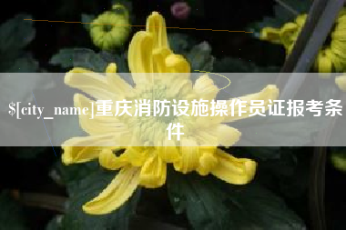 赤峰重庆消防设施操作员证报考条件