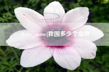 赤峰我国多少个金牌