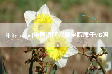 赤峰中国消防救援学院属于985吗