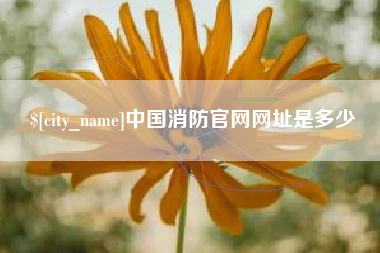 赤峰中国消防官网网址是多少