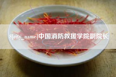 赤峰中国消防救援学院副院长