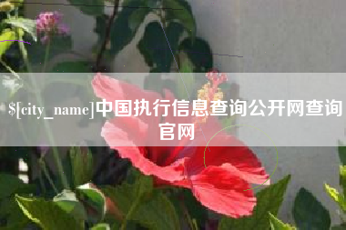 赤峰中国执行信息查询公开网查询官网