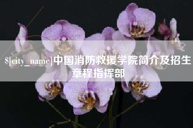 赤峰中国消防救援学院简介及招生章程指挥部