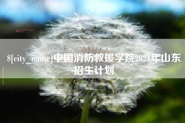赤峰中国消防救援学院2021年山东招生计划