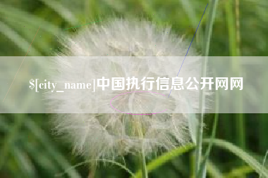 赤峰中国执行信息公开网网