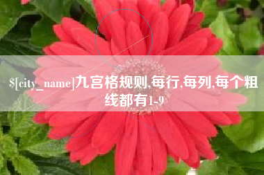 赤峰九宫格规则,每行,每列,每个粗线都有1-9