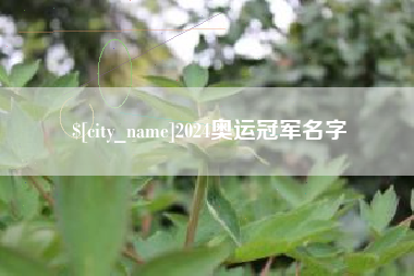 赤峰2024奥运冠军名字