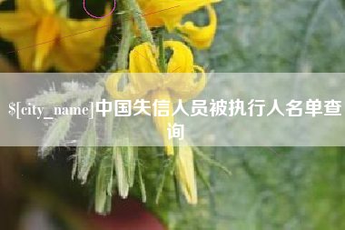 赤峰中国失信人员被执行人名单查询
