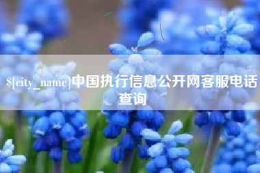 赤峰中国执行信息公开网客服电话查询
