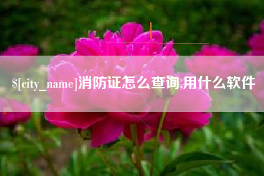 赤峰消防证怎么查询,用什么软件