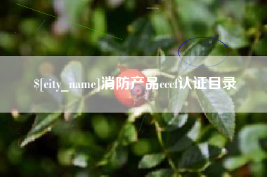 赤峰消防产品cccf认证目录