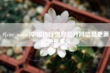 赤峰中国执行信息公开网信息更新时间是多久