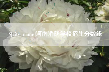 赤峰河南消防学校招生分数线