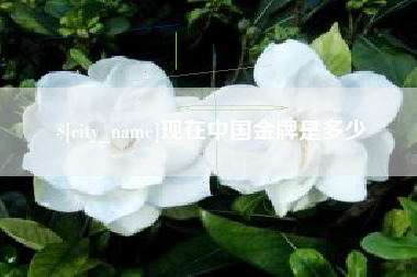 赤峰现在中国金牌是多少