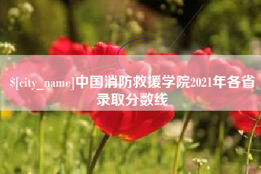 赤峰中国消防救援学院2021年各省录取分数线