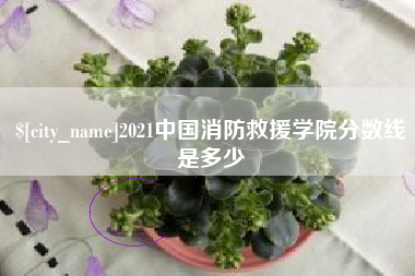 赤峰2021中国消防救援学院分数线是多少